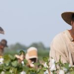 12 Years a Slave 2013