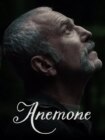 Anemone 2025 Anemone 2025