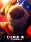 Charlie the Wonderdog 2025 Charlie the Wonderdog 2025