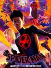 Spider-Man: Across the Spider-Verse 2023 Spider-Man: Across the Spider-Verse 2023