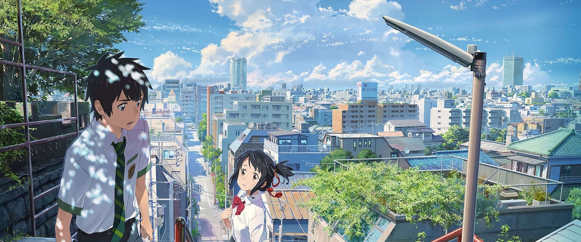 Your Name. 2016 Your Name. 2016