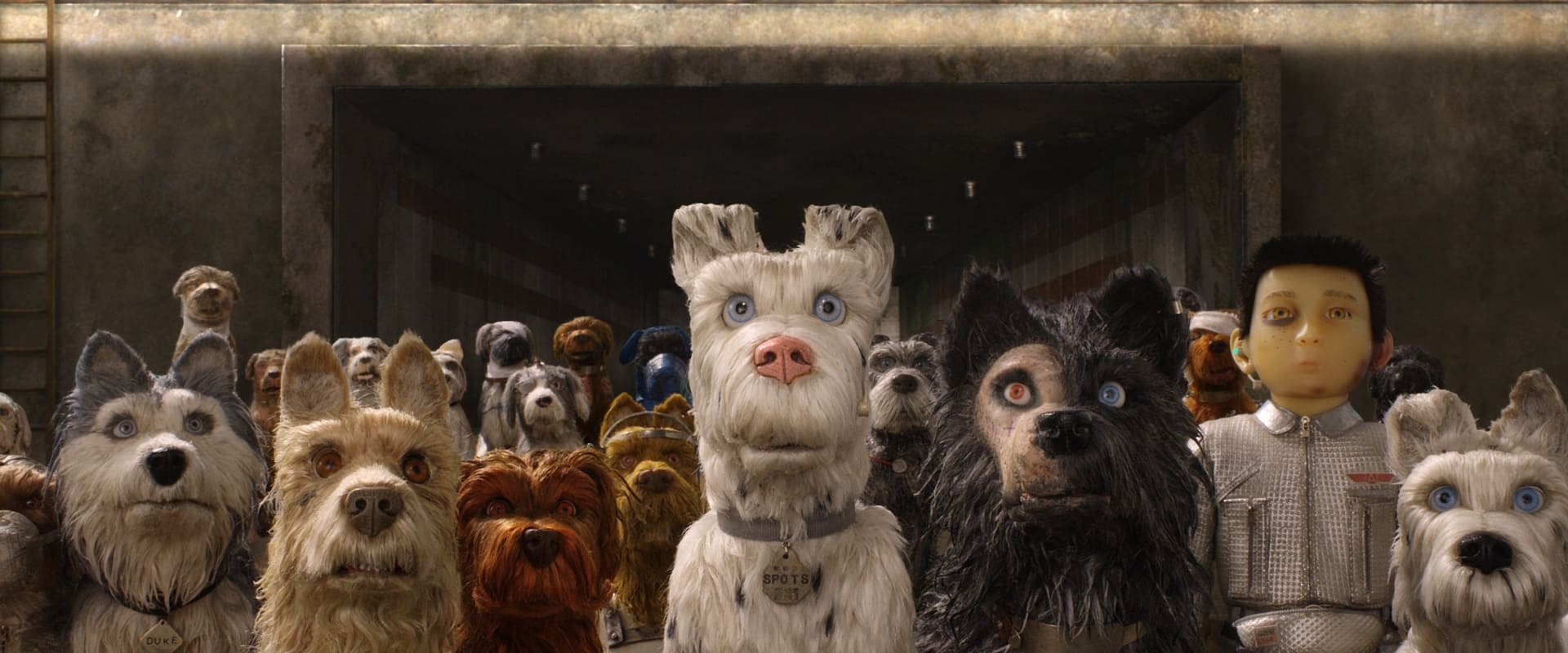 Isle of Dogs 2018 Isle of Dogs 2018