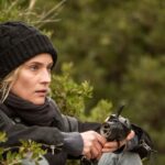 In the Fade 2017
