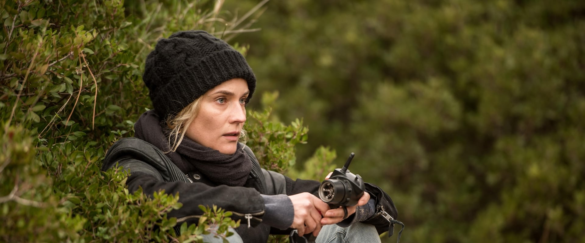In the Fade 2017 In the Fade 2017