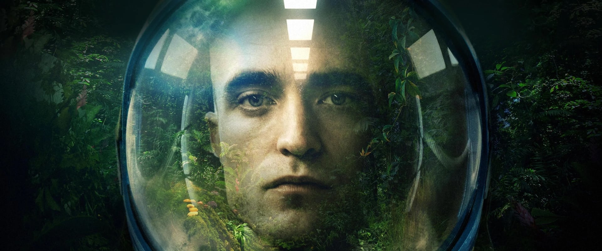 High Life 2018 High Life 2018