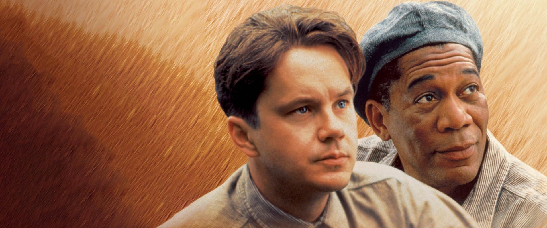 The Shawshank Redemption 1994 The Shawshank Redemption 1994