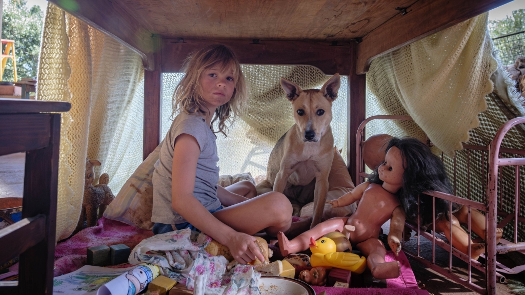 Don’t Let’s Go to the Dogs Tonight Don’t Let’s Go to the Dogs Tonight